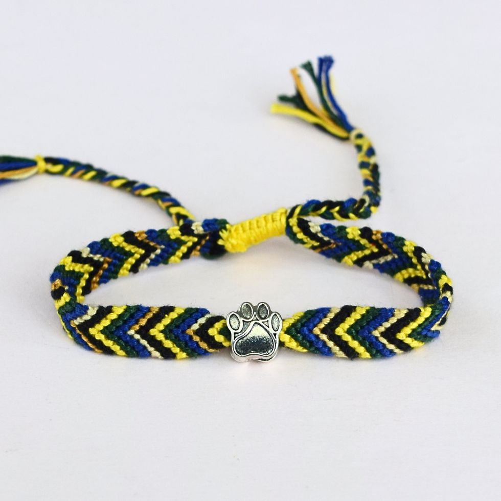 pulsera tejida en amarillo, azul y verde con dije de huellita de perro