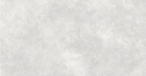 l.png