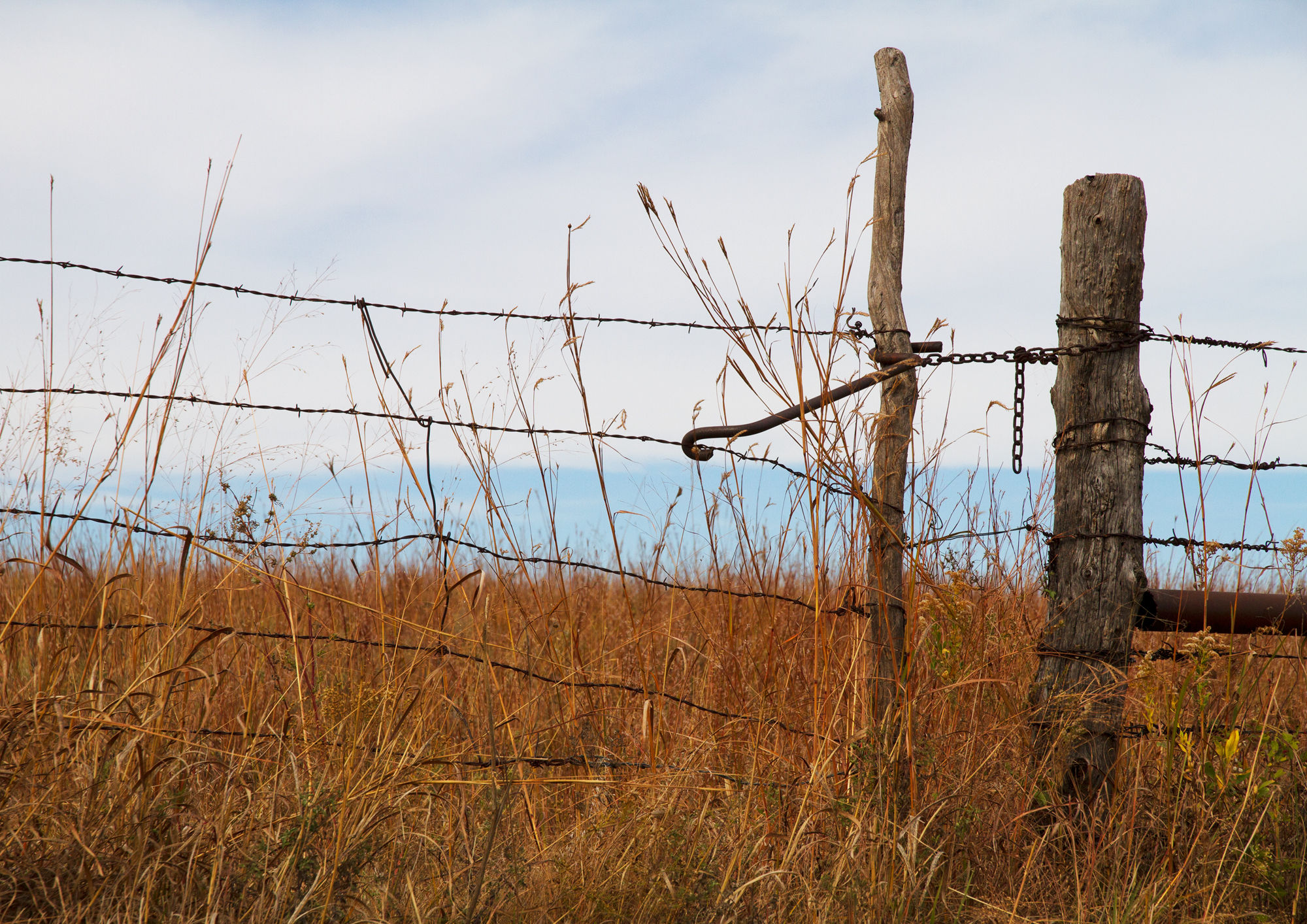 Fenceline Kitchen Board