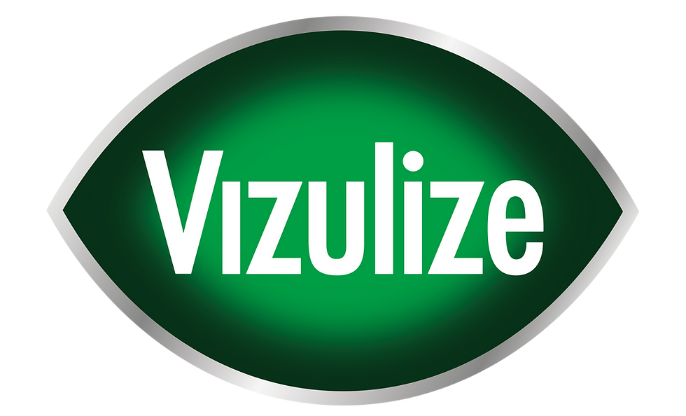Vizulize Logo.png