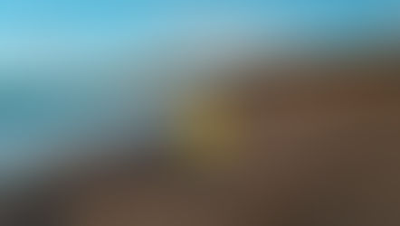 Autours du GR34 (#6) … Sur la route de la Pointe du Grouin