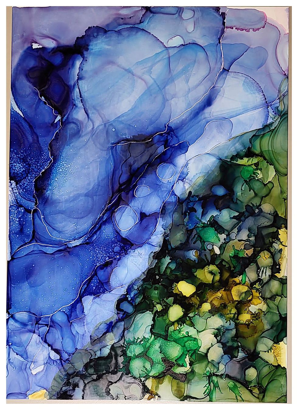 Miniatyrbild: Hidden forest  