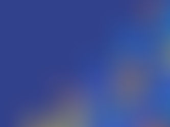 Indigo Rewards Latest Insights