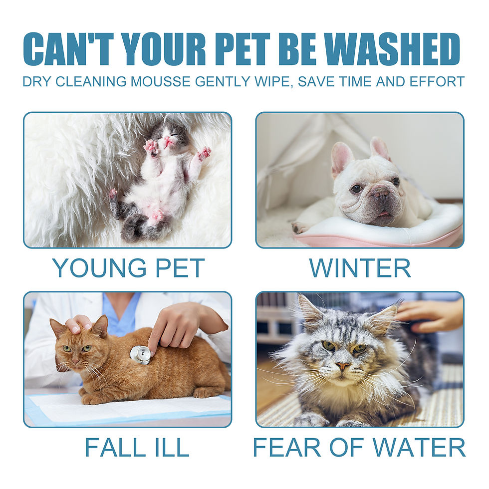 Thumbnail: YEGBONG Pet Dry Shampoo Gentle Odor Neutralizing Hair Softening No Rinse Vet Rec