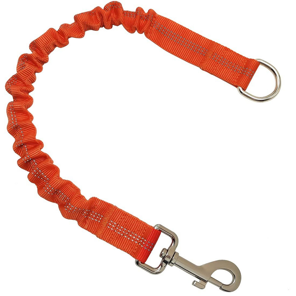 Thumbnail: Dog Lead Shock Absorber Small Dogs Pet Elastic Rope Indestructible Toys Walking 