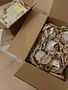 FD_packingbox.jpg