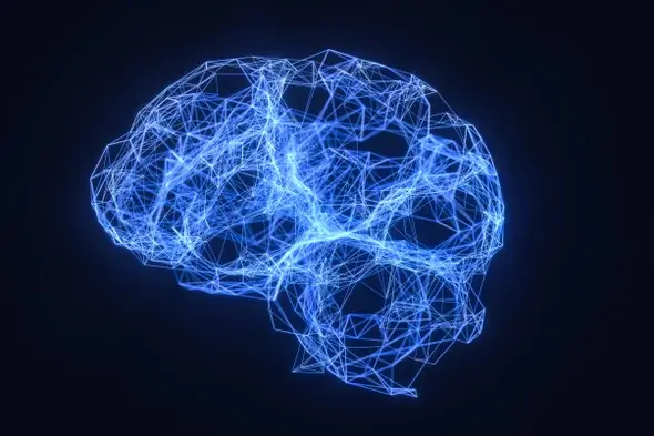 Brainwave States