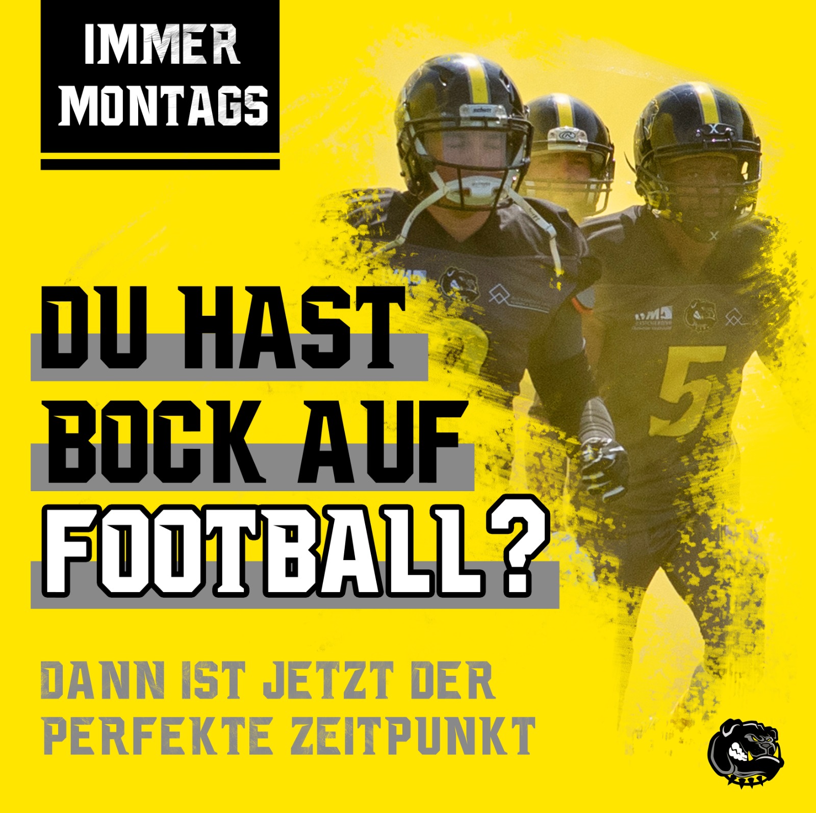 Dawgs zurück auf dem Platz!