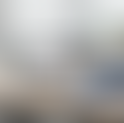 Business Income Reporting: A Guide for Canadians