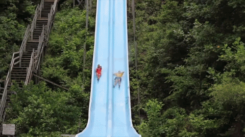 giphy-3.gif
