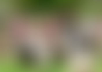 VISITA A LA GRANJA ESCUELA DE SEGOVIA