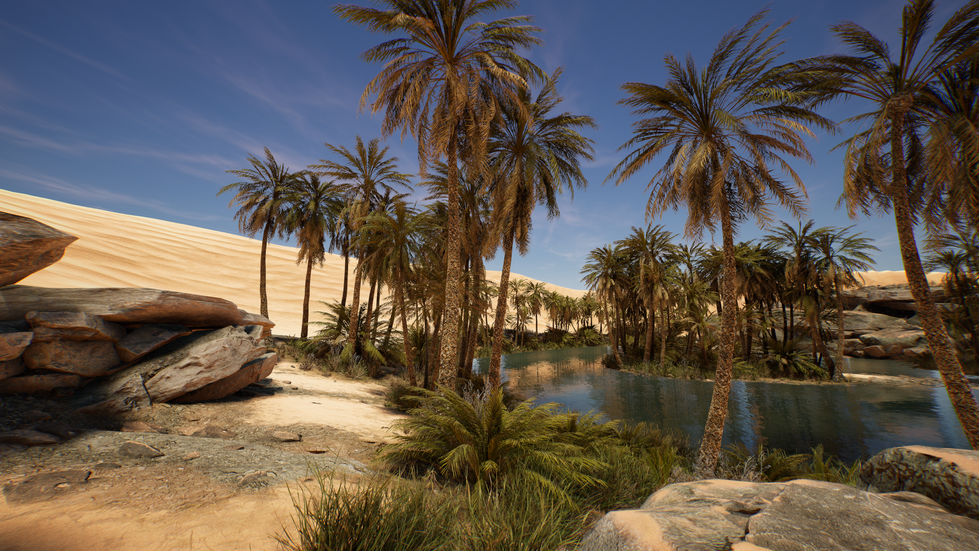 Oasis
