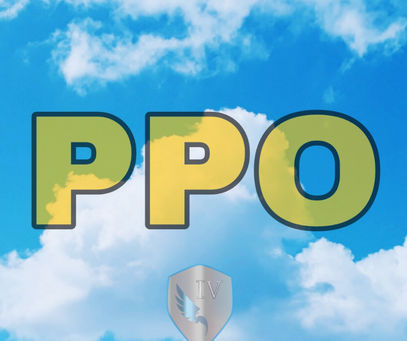 ¿Qué es PPO?