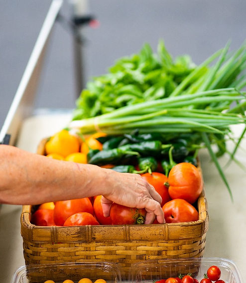 organic-vegetables.jpg
