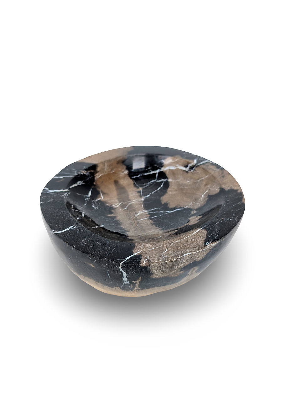 Thumbnail: PETRIFIED WOOD DISH, Fossil Stone Bowl, Stone Bowl, Petrified Wood Bowl