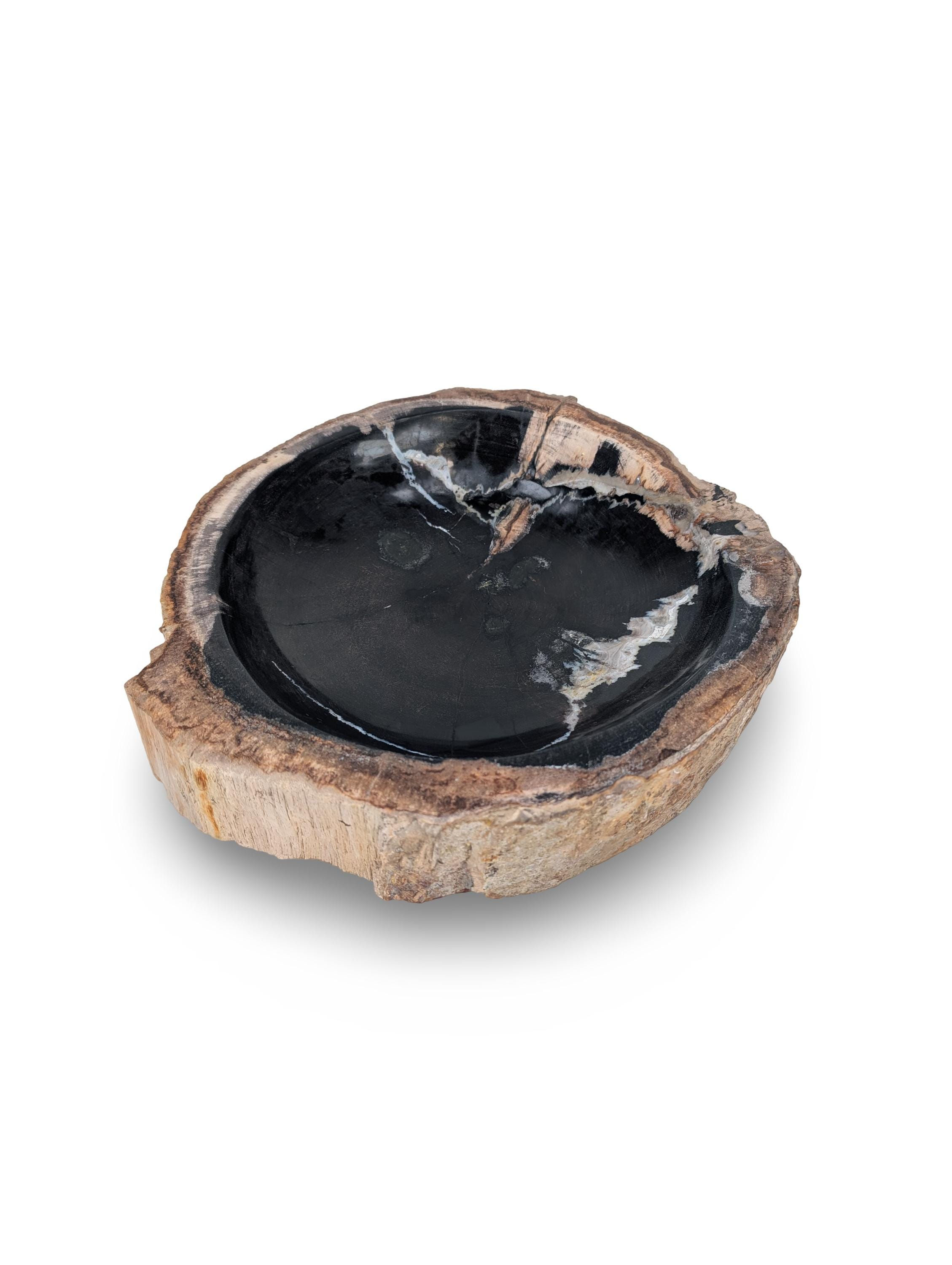 BALINESE PETRIFIED WOOD Dish, Polished Petrified Wood, Petrified Wood Bowl, Live