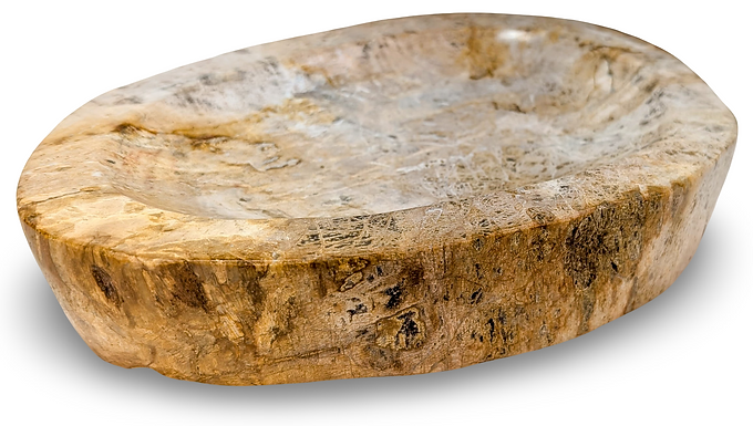 STONE FOSSIL BOWL, Stone Ring Dish, Petrified Bowl Decor, Stone Trinket Dish