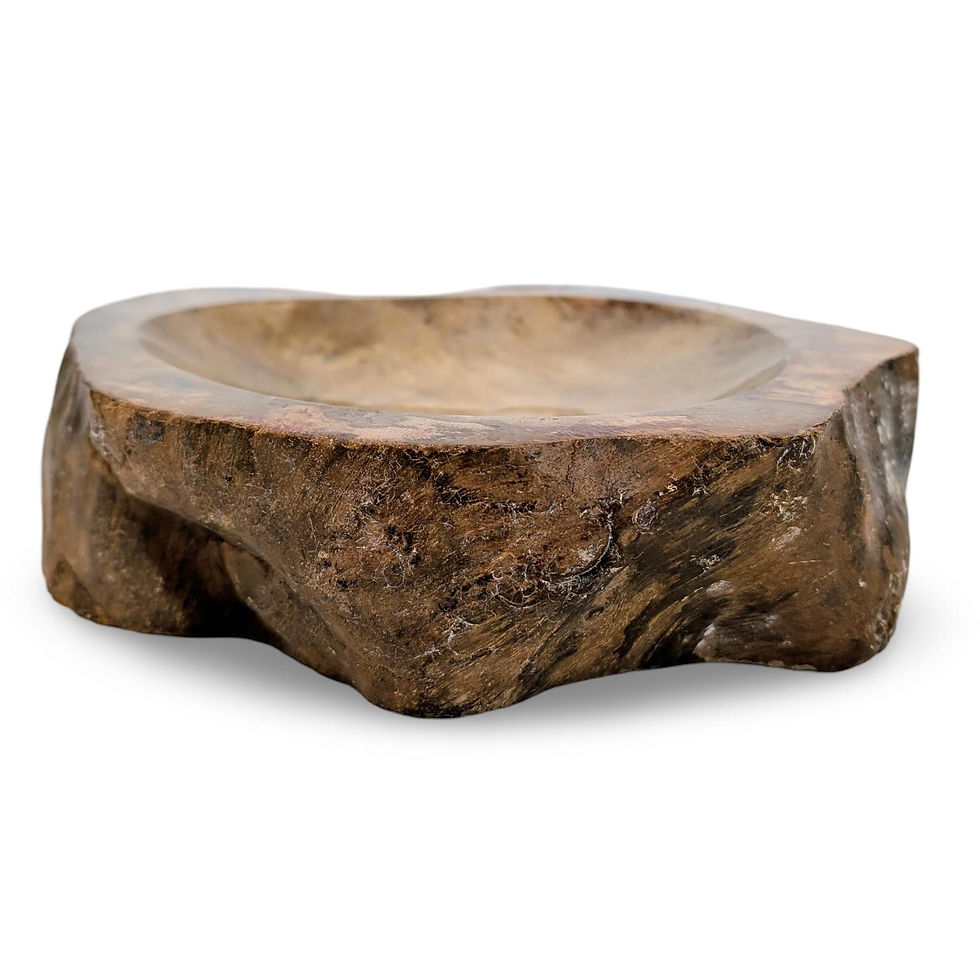 Thumbnail: PETRIFIED WOOD BOWL, Petrified Wood Trinket Dish, Rare Petrified Wood Bowl, Live