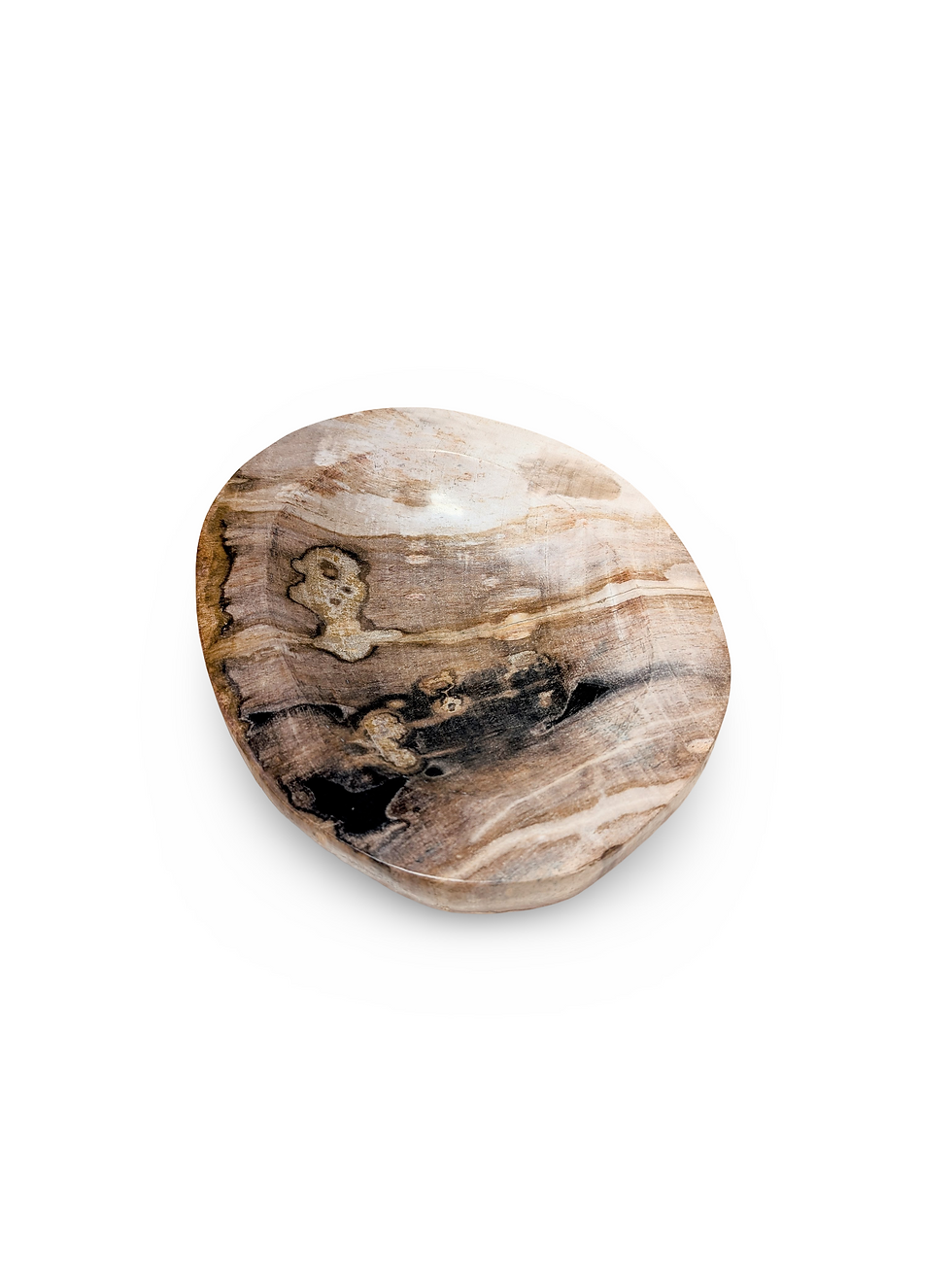 Thumbnail: PETRIFIED VESSEL DISH, Petrified Wood Bowl, Fossilized Wood Dish, Petrified Bowl