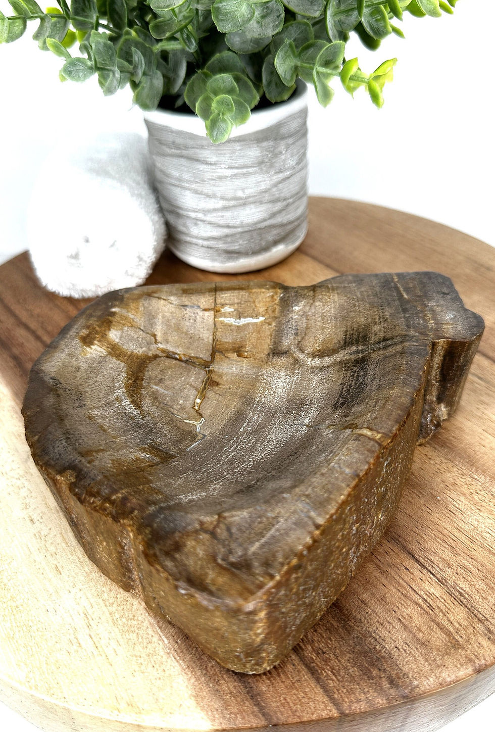 Thumbnail: PETRIFIED DISH TRAY, Petrified Wood Trinket Plate, Soap Dish Tray, Petrified