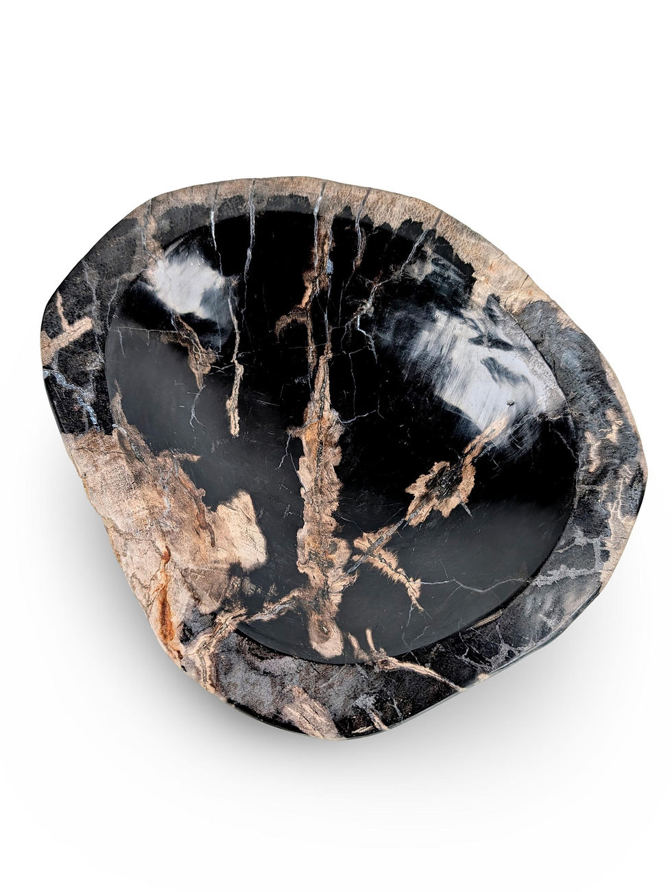 Thumbnail: PETRIFIED WOOD BOWL, Petrified Wood Trinket Dish, Rare Petrified Wood Bowl, Live