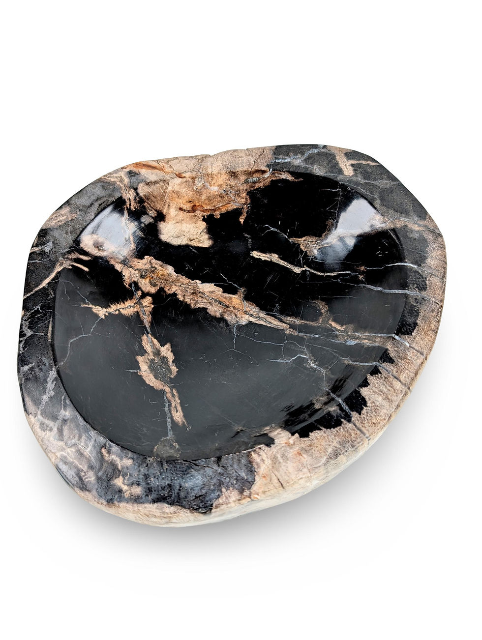 Thumbnail: PETRIFIED WOOD BOWL, Petrified Wood Trinket Dish, Rare Petrified Wood Bowl, Live