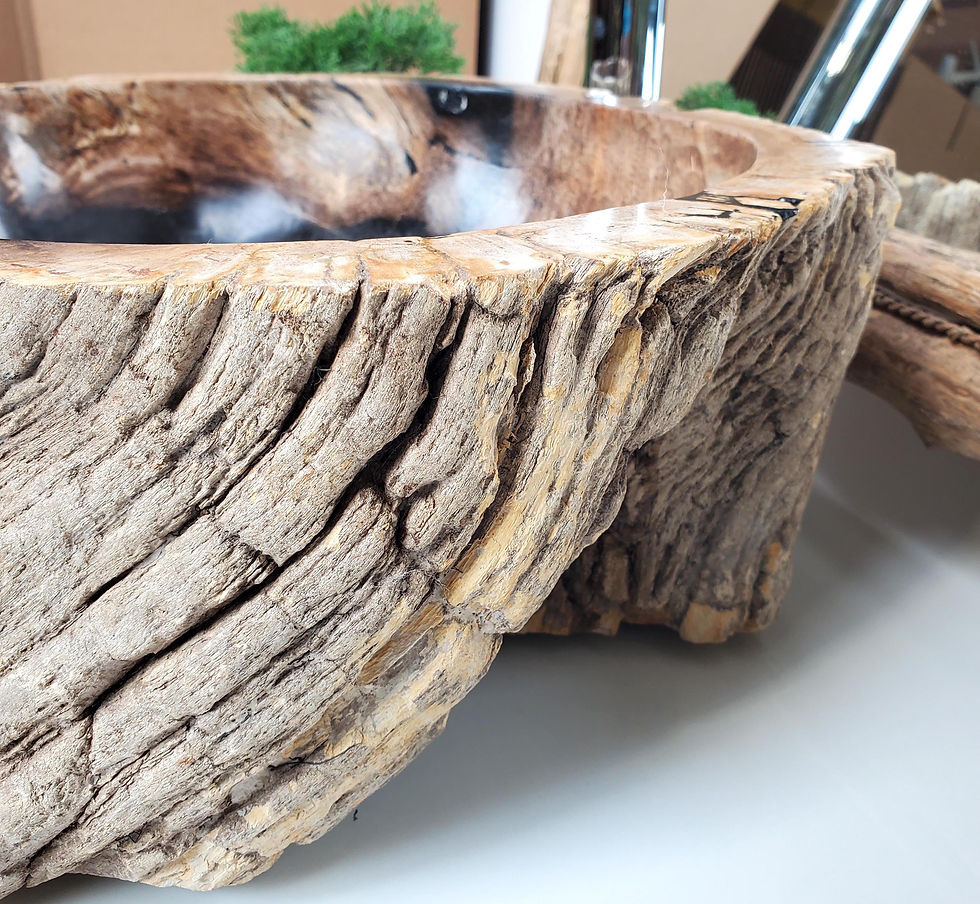 Thumbnail: PETRIFIED WOOD BATHROOM Sink, Petrified Wood Sink, Stone Table Sink, Table Top