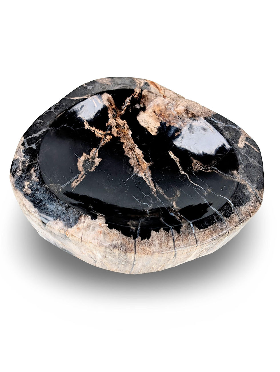 Thumbnail: PETRIFIED WOOD BOWL, Petrified Wood Trinket Dish, Rare Petrified Wood Bowl, Live