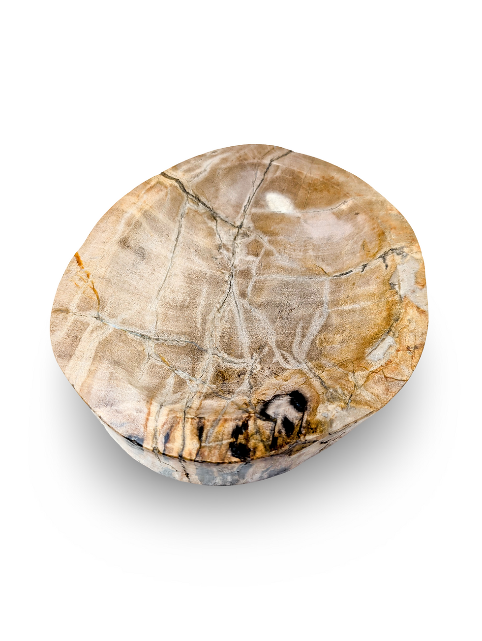 Thumbnail: PETRIFIED WOOD BOWL, Fossilized Wood Bowl, Stone Wooden Dish, Natural Stone Bowl