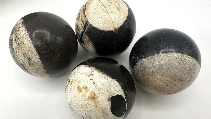 PETRIFIED WOOD SPHERE, Petrified Wood Ball, Fossilized Wood Balls, Indonesian