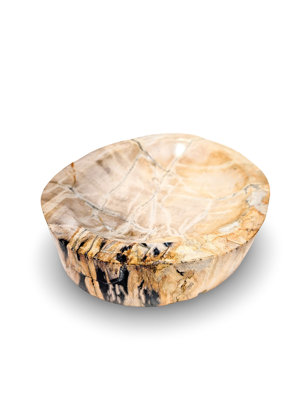 Thumbnail: PETRIFIED WOOD BOWL, Fossilized Wood Bowl, Stone Wooden Dish, Natural Stone Bowl