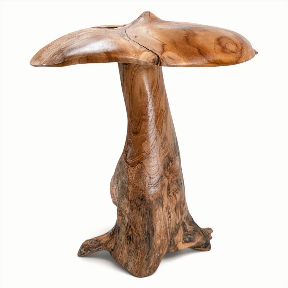 Organic teak fungi sculpture with a broad asymmetrical cap and naturally rooted base