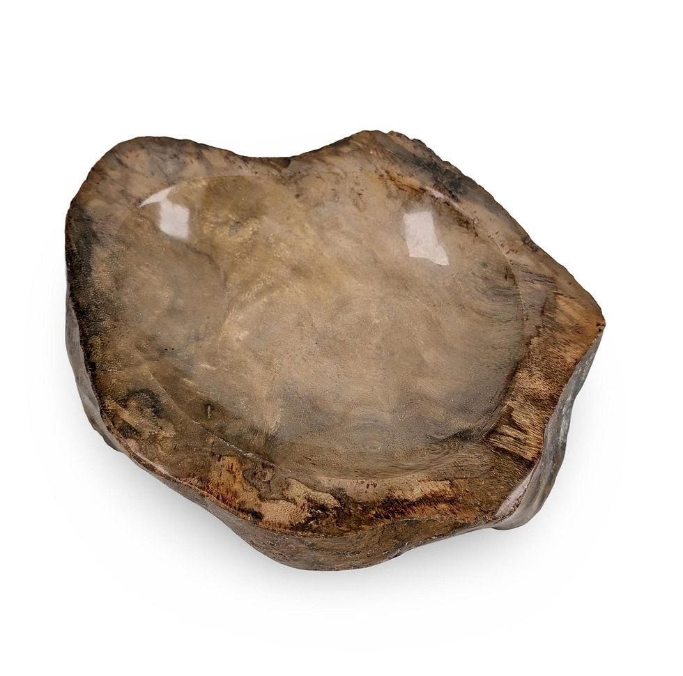 Thumbnail: PETRIFIED WOOD BOWL, Petrified Wood Trinket Dish, Rare Petrified Wood Bowl, Live
