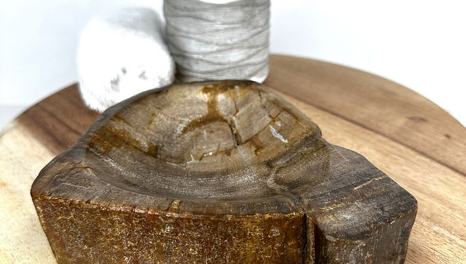 PETRIFIED DISH TRAY, Petrified Wood Trinket Plate, Soap Dish Tray, Petrified