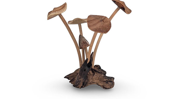 TOADSTOOL ORGANIC FIGURINE, Nature wood Carving, Wooden Mushrooms Art, Rustic