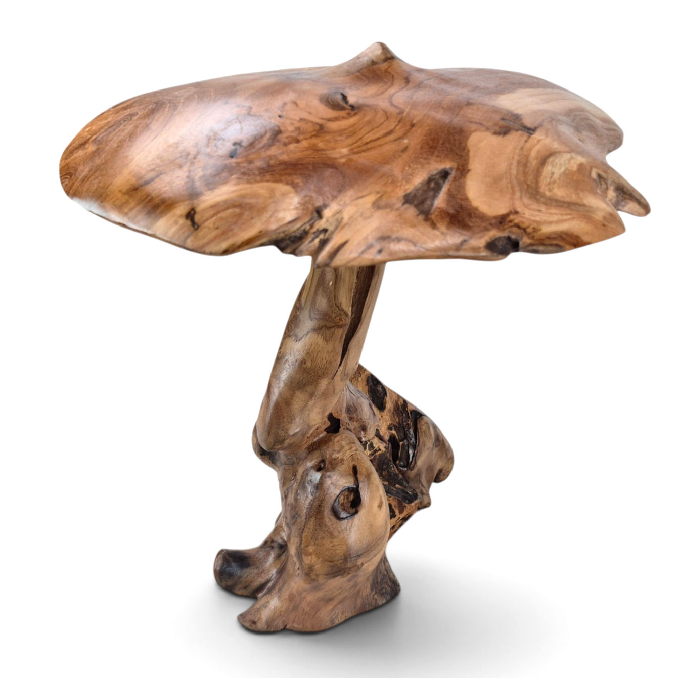 Teakwood mushroom sculpture with varied surface textures