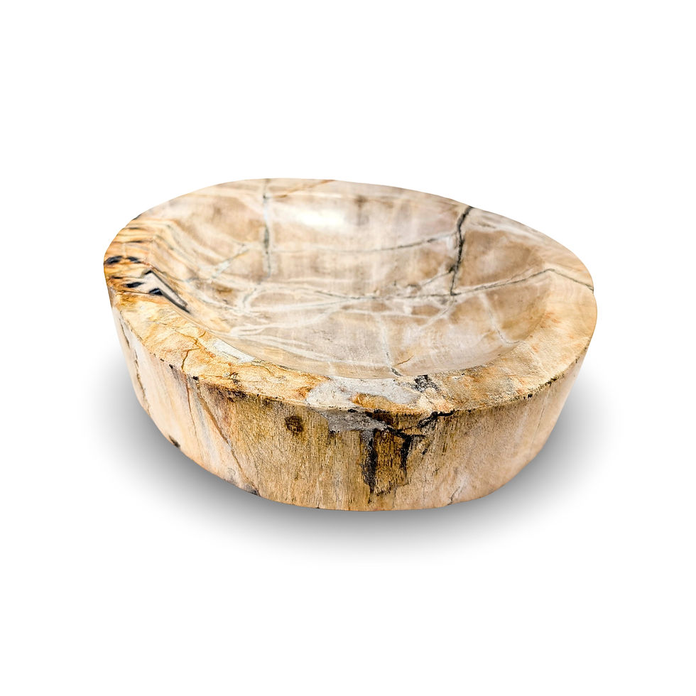Thumbnail: PETRIFIED WOOD BOWL, Fossilized Wood Bowl, Stone Wooden Dish, Natural Stone Bowl