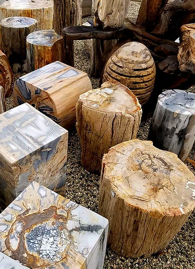 50022278_2076244132443394_3098620098617802752_n_edited.jpg
