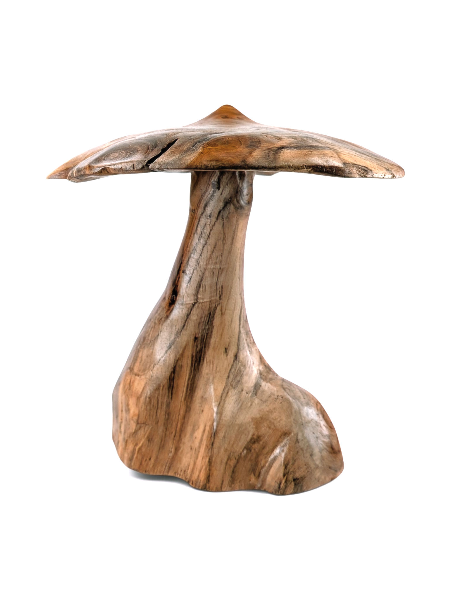 One-of-a-kind teakwood mushroom sculpture with a wide flowing cap and natural opening