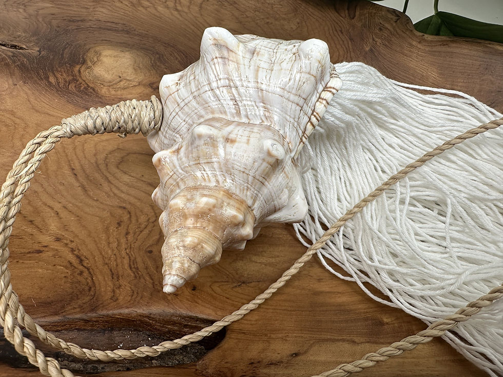 Thumbnail: FARMHOUSE SHELL TASSEL, Rustic Tiebacks, Vintage Curtain Tassel, Boho Curtain
