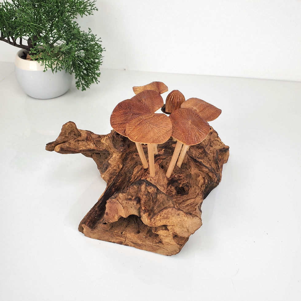 Thumbnail: MUSHROOM CLUSTER LOG, Wooden Mushroom Sculpture, Teak Wood Mushrooms, Mushrooms