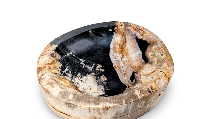 STONE WOOD BOWL, Petrified Wood Bowl, Fossilized Wood Dish, Petrified Bowl Decor