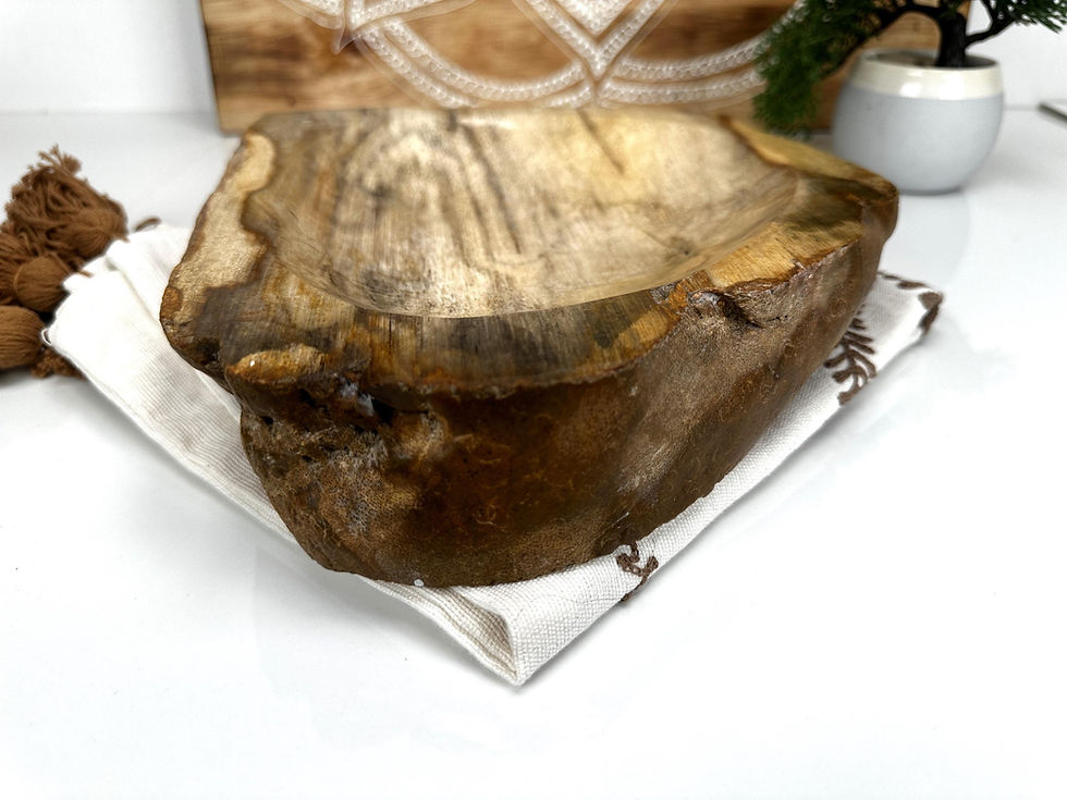 Thumbnail: PETRIFIED WOOD DISH, Fossil Wood Slab, Polished Petrified Wood Plate, Petrified