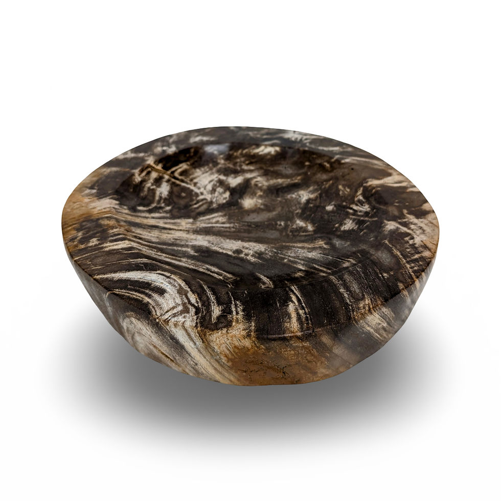 Thumbnail: PETRIFIED WOOD DISH, Fossil Stone Bowl, Stone Bowl, Petrified Wood Bowl
