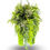 Thumbnail: LUSH HANGING GREENERY, 46" Hanging Houseplant, Faux Fern Mix, Realistic Fake