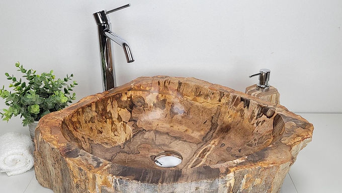 PETRIFIED WOOD VANITY Sink, Petrified Fossil Sink, Petrified Wood Bathroom Sink