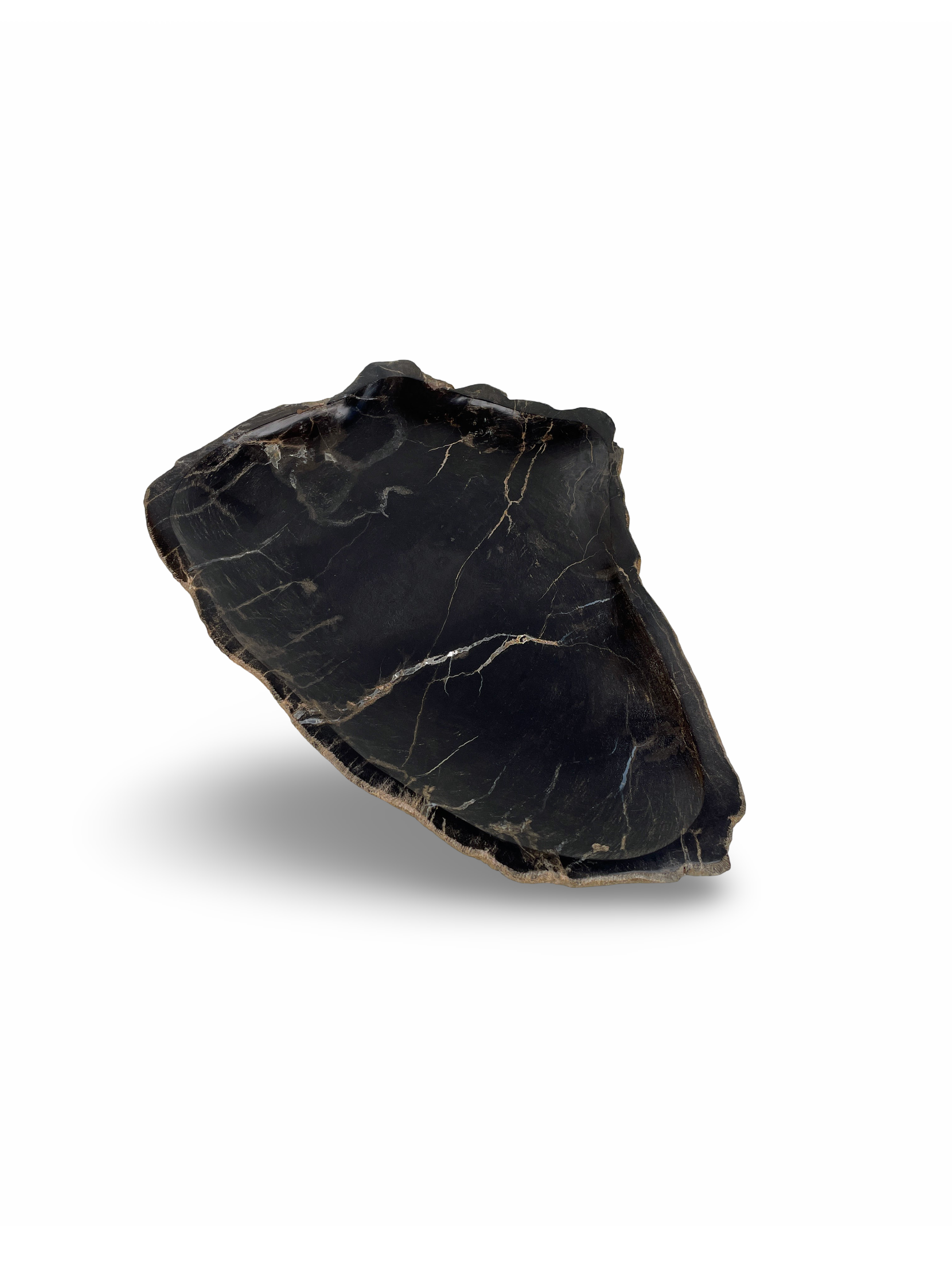 PETRIFIED WOOD PLATE, Live Edge Plate, Polished Petrified Wood Plate