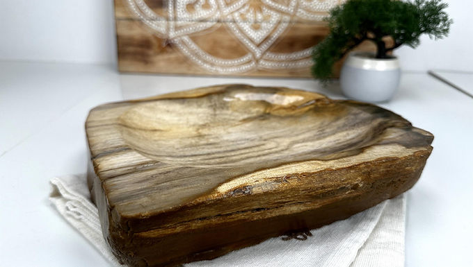 PETRIFIED WOOD DISH, Fossil Wood Slab, Polished Petrified Wood Plate, Petrified
