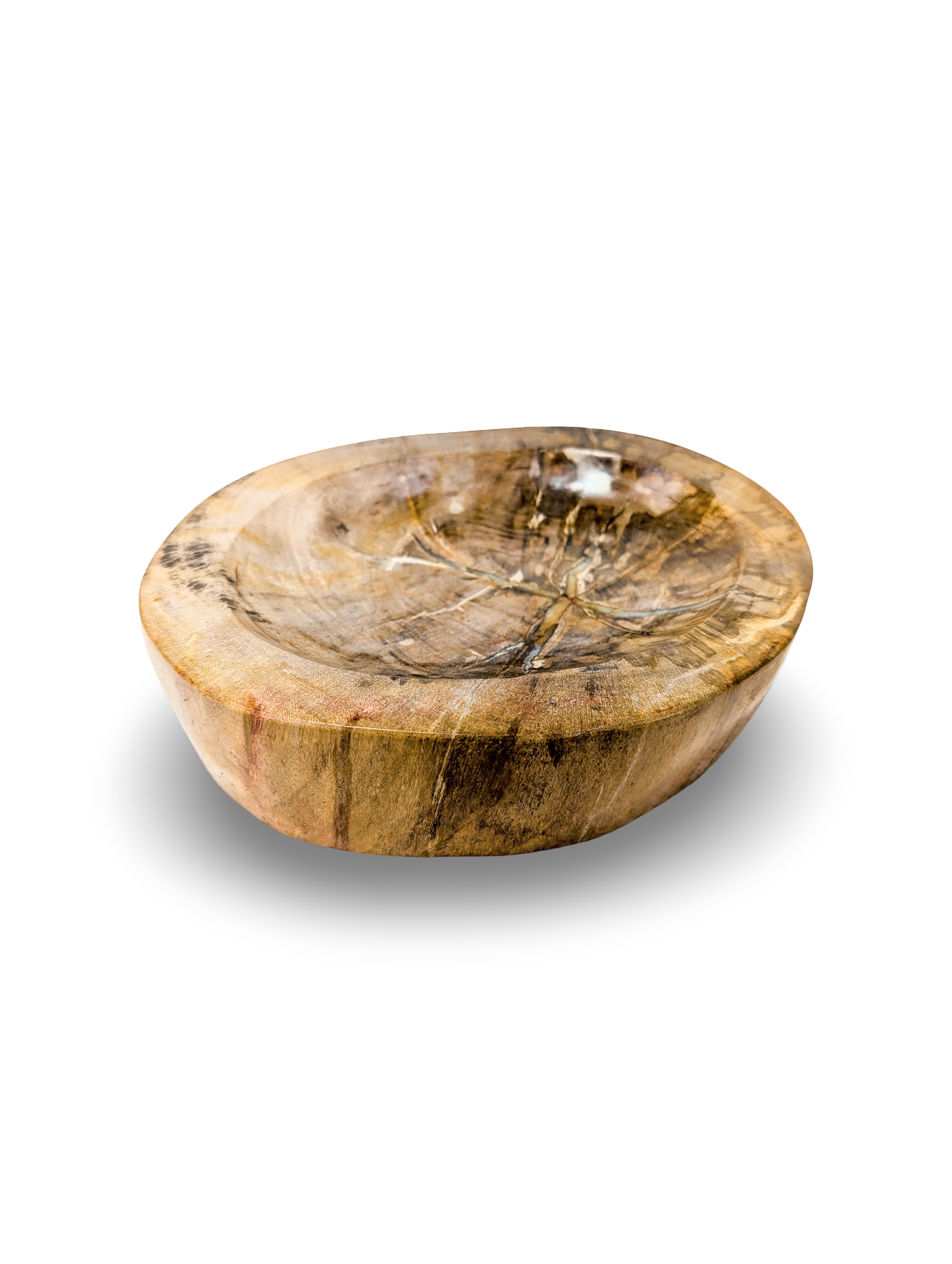 STONE WOOD BOWL, Petrified Wood Bowl, Fossilized Wood Dish, Petrified Bowl Decor