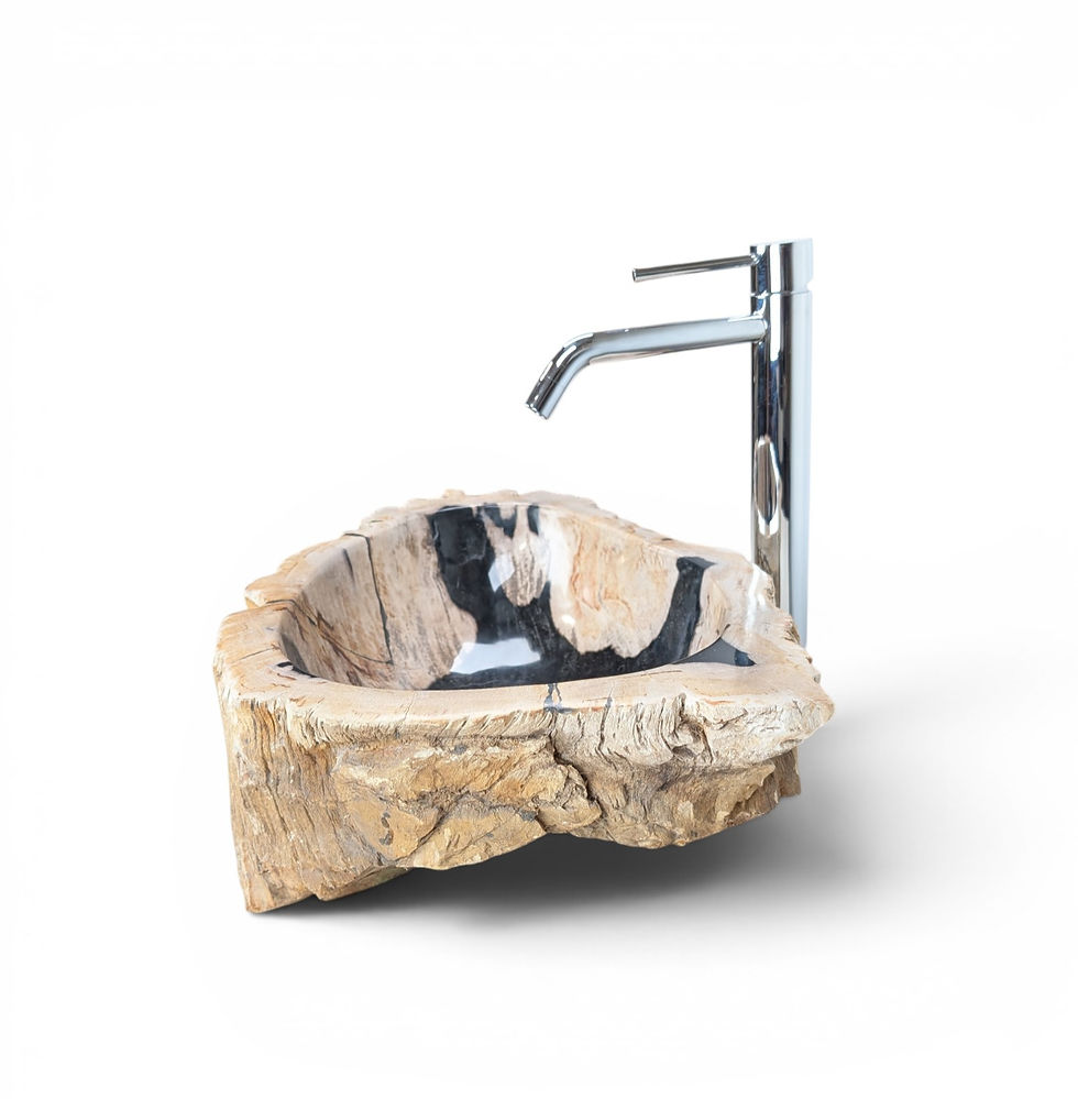 Thumbnail: Natural Fossil Wood Sink